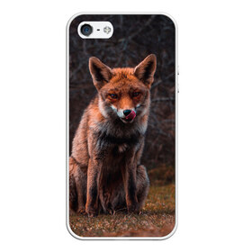 Чехол для iPhone 5/5S матовый с принтом Хищная лисица в Кировске, Силикон | Область печати: задняя сторона чехла, без боковых панелей | fox | foxy | животное | звери | лиса | лисенок | лисичка | милая | рыжая | фокс