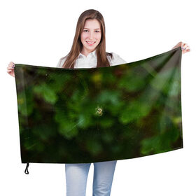 Флаг 3D с принтом Паучок в Кировске, 100% полиэстер | плотность ткани — 95 г/м2, размер — 67 х 109 см. Принт наносится с одной стороны | spider | web | зелень | лес | макро | паук | паутина | природа