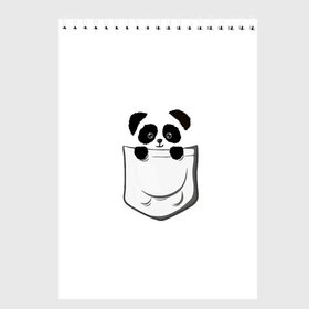 Скетчбук с принтом Панда В Кармане в Кировске, 100% бумага
 | 48 листов, плотность листов — 100 г/м2, плотность картонной обложки — 250 г/м2. Листы скреплены сверху удобной пружинной спиралью | Тематика изображения на принте: animals | beats | head | panda | pocket | в кармане | голова | животные | звери | лапки | любовь | панда