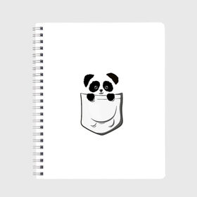 Тетрадь с принтом Панда В Кармане в Кировске, 100% бумага | 48 листов, плотность листов — 60 г/м2, плотность картонной обложки — 250 г/м2. Листы скреплены сбоку удобной пружинной спиралью. Уголки страниц и обложки скругленные. Цвет линий — светло-серый
 | Тематика изображения на принте: animals | beats | head | panda | pocket | в кармане | голова | животные | звери | лапки | любовь | панда