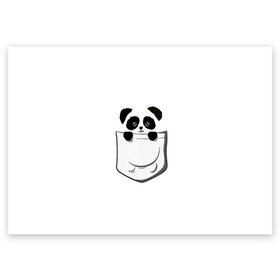 Поздравительная открытка с принтом Панда В Кармане в Кировске, 100% бумага | плотность бумаги 280 г/м2, матовая, на обратной стороне линовка и место для марки
 | Тематика изображения на принте: animals | beats | head | panda | pocket | в кармане | голова | животные | звери | лапки | любовь | панда