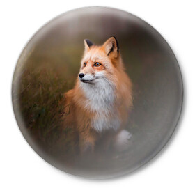 Значок с принтом Лиса-охотница в Кировске,  металл | круглая форма, металлическая застежка в виде булавки | fox | foxy | животное | звери | лиса | лисенок | лисичка | милая | рыжая | фокс