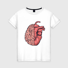 Женская футболка хлопок с принтом Мозг vs Сердце в Кировске, 100% хлопок | прямой крой, круглый вырез горловины, длина до линии бедер, слегка спущенное плечо | art | brain | drawing | heart | арт | мозг | рисунок | сердце