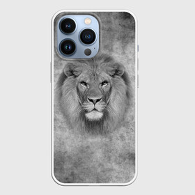 Чехол для iPhone 13 Pro с принтом Лев в Кировске,  |  | big cat | lion | зверь | кошка | лев | львенок | львица | хищник | царь зверей