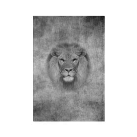 Обложка для паспорта матовая кожа с принтом Лев в Кировске, натуральная матовая кожа | размер 19,3 х 13,7 см; прозрачные пластиковые крепления | Тематика изображения на принте: big cat | lion | зверь | кошка | лев | львенок | львица | хищник | царь зверей