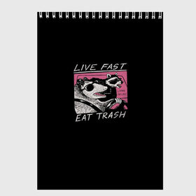 Скетчбук с принтом Live fast Eat trash в Кировске, 100% бумага
 | 48 листов, плотность листов — 100 г/м2, плотность картонной обложки — 250 г/м2. Листы скреплены сверху удобной пружинной спиралью | eat | fast | live | snap | snap collection | trash | быстро | еда | енот | жизнь | мода | мусор | опоссум | очки