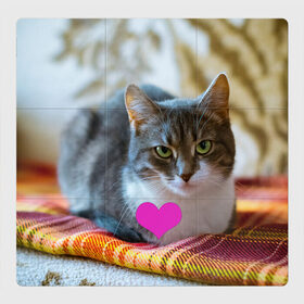 Магнитный плакат 3Х3 с принтом действительно любит меня в Кировске, Полимерный материал с магнитным слоем | 9 деталей размером 9*9 см | взгляд | кот | кошатникам | любит меня | люблю его | люблю котов | одиночкам | плед | романтика | сердечко | сердце | уют