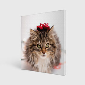 Холст квадратный с принтом я лучший подарочек в Кировске, 100% ПВХ |  | Тематика изображения на принте: бантик | взгляд | глаза | животные | звери | зверь | киса | кисонька | кот | котейка | котик | коты | котэ | кошки | лапы | нос | подарок | подарочек | сюрприз | усы | уши | шерсть