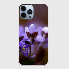 Чехол для iPhone 13 Pro Max с принтом хрупкий цветок фиалка в Кировске,  |  | flowers | весна | лиловый | макро | нежный | природа | рост | свежесть | сиреневый | фиолетовый | хрупкий | цветик | цветок | цветочек | цветы