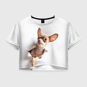 Женская футболка Crop-top 3D с принтом Чихуахуа из бумаги вылазит в Кировске, 100% полиэстер | круглая горловина, длина футболки до линии талии, рукава с отворотами | гав | любитель собак | меленьктй пес | мини пес | песель | песик | собака | собачка | собачник | собачница | чихуахуа | чихуашка | щенек