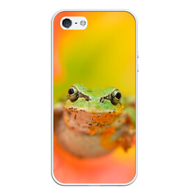 Чехол для iPhone 5/5S матовый с принтом лягушка в цветке мило в Кировске, Силикон | Область печати: задняя сторона чехла, без боковых панелей | жаба | жабка | земноводное | ква | квакуха | лягушенок | лягушка | макро | мило | природа | пыльца | цветок
