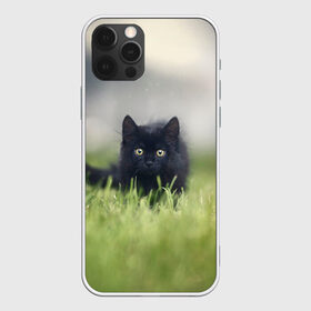 Чехол для iPhone 12 Pro Max с принтом черный кот на лугу в Кировске, Силикон |  | взгляд | внутренний | глаза | животные | звери | зверь | кот | котейка | котик | коты | котэ | кошки | лапы | нос | образ | прыжок | смотрит в душу | усы | уши | черный | черныш | шерсть