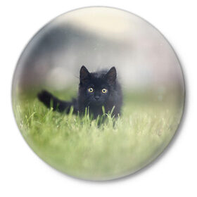 Значок с принтом черный кот на лугу в Кировске,  металл | круглая форма, металлическая застежка в виде булавки | взгляд | внутренний | глаза | животные | звери | зверь | кот | котейка | котик | коты | котэ | кошки | лапы | нос | образ | прыжок | смотрит в душу | усы | уши | черный | черныш | шерсть