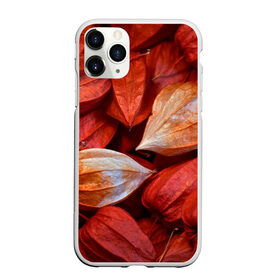 Чехол для iPhone 11 Pro матовый с принтом прекрасный красный физалис в Кировске, Силикон |  | Тематика изображения на принте: красноватый | красные коробочки | красный | листья | осень | прикольный | природа | растения | текстура | теплый | фезалис | физалис | фонарики