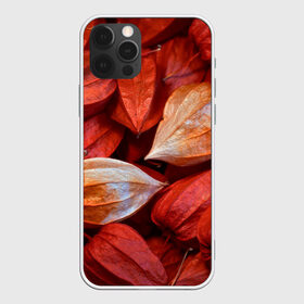 Чехол для iPhone 12 Pro Max с принтом прекрасный красный физалис в Кировске, Силикон |  | Тематика изображения на принте: красноватый | красные коробочки | красный | листья | осень | прикольный | природа | растения | текстура | теплый | фезалис | физалис | фонарики