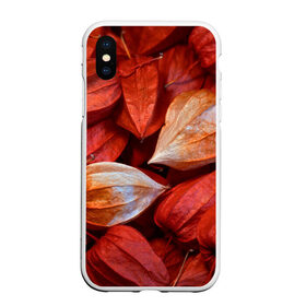 Чехол для iPhone XS Max матовый с принтом прекрасный красный физалис в Кировске, Силикон | Область печати: задняя сторона чехла, без боковых панелей | красноватый | красные коробочки | красный | листья | осень | прикольный | природа | растения | текстура | теплый | фезалис | физалис | фонарики