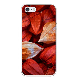 Чехол для iPhone 5/5S матовый с принтом прекрасный красный физалис в Кировске, Силикон | Область печати: задняя сторона чехла, без боковых панелей | красноватый | красные коробочки | красный | листья | осень | прикольный | природа | растения | текстура | теплый | фезалис | физалис | фонарики
