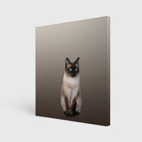 Холст квадратный с принтом Сиамский кот голубые глаза в Кировске, 100% ПВХ |  | арт | бежевый | градиент | киса | коричневый | кот | котейка | котенок | котик | котэ | кошка | реализм | сиамец | сиамский