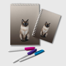 Блокнот с принтом Сиамский кот голубые глаза в Кировске, 100% бумага | 48 листов, плотность листов — 60 г/м2, плотность картонной обложки — 250 г/м2. Листы скреплены удобной пружинной спиралью. Цвет линий — светло-серый
 | арт | бежевый | градиент | киса | коричневый | кот | котейка | котенок | котик | котэ | кошка | реализм | сиамец | сиамский