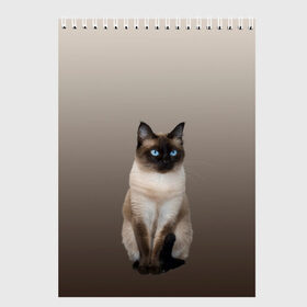 Скетчбук с принтом Сиамский кот голубые глаза в Кировске, 100% бумага
 | 48 листов, плотность листов — 100 г/м2, плотность картонной обложки — 250 г/м2. Листы скреплены сверху удобной пружинной спиралью | арт | бежевый | градиент | киса | коричневый | кот | котейка | котенок | котик | котэ | кошка | реализм | сиамец | сиамский