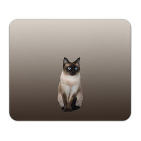 Коврик для мышки прямоугольный с принтом Сиамский кот голубые глаза в Кировске, натуральный каучук | размер 230 х 185 мм; запечатка лицевой стороны | арт | бежевый | градиент | киса | коричневый | кот | котейка | котенок | котик | котэ | кошка | реализм | сиамец | сиамский