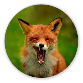 Коврик для мышки круглый с принтом Лисица в Кировске, резина и полиэстер | круглая форма, изображение наносится на всю лицевую часть | fox | foxy | животное | звери | лиса | лисенок | лисичка | милая | рыжая | фокс