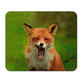 Коврик для мышки прямоугольный с принтом Лисица в Кировске, натуральный каучук | размер 230 х 185 мм; запечатка лицевой стороны | fox | foxy | животное | звери | лиса | лисенок | лисичка | милая | рыжая | фокс