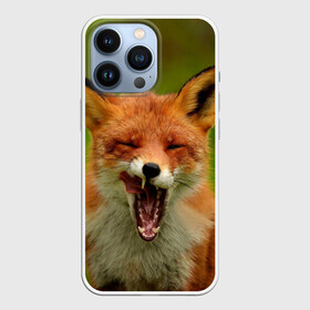 Чехол для iPhone 13 Pro с принтом Лисица в Кировске,  |  | fox | foxy | животное | звери | лиса | лисенок | лисичка | милая | рыжая | фокс