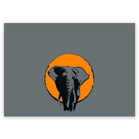 Поздравительная открытка с принтом Африканский Слон в Кировске, 100% бумага | плотность бумаги 280 г/м2, матовая, на обратной стороне линовка и место для марки
 | Тематика изображения на принте: африка | графика | дикий мир | животное | персонаж | природа | рисунок | слон