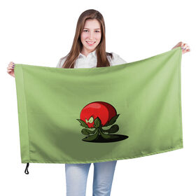 Флаг 3D с принтом Мистер Помидор в Кировске, 100% полиэстер | плотность ткани — 95 г/м2, размер — 67 х 109 см. Принт наносится с одной стороны | графика | мир растений | овощи | персонаж | помидор | природа | рисунок | томат