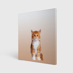 Холст квадратный с принтом бело-рыжий котенок реализм в Кировске, 100% ПВХ |  | cat | kitten | бело рыжий | градиент | кот | котейка | котенок | котеночек | котик | котофей | котэ | кошка | малыш | милаш | мяу | нэко | реализм | рыже белый