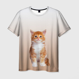 Мужская футболка 3D с принтом бело-рыжий котенок реализм в Кировске, 100% полиэфир | прямой крой, круглый вырез горловины, длина до линии бедер | cat | kitten | бело рыжий | градиент | кот | котейка | котенок | котеночек | котик | котофей | котэ | кошка | малыш | милаш | мяу | нэко | реализм | рыже белый