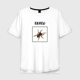 Мужская футболка хлопок Oversize с принтом Паукъ в Кировске, 100% хлопок | свободный крой, круглый ворот, “спинка” длиннее передней части | абстракция | бред | жак фреско | жуки | насекомое | паук | пауки | паучок | странная надпись | тараканы | тупость