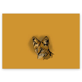 Поздравительная открытка с принтом Сервал в Кировске, 100% бумага | плотность бумаги 280 г/м2, матовая, на обратной стороне линовка и место для марки
 | Тематика изображения на принте: африка | графика | дикий мир | животное | кошка | персонаж | природа | рисунок | хищник