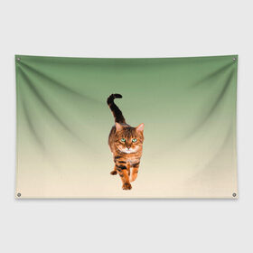 Флаг-баннер с принтом короткошерстный кот идет в Кировске, 100% полиэстер | размер 67 х 109 см, плотность ткани — 95 г/м2; по краям флага есть четыре люверса для крепления | cat | kitten | большой | градиент | зеленые глаза | идет | камышовый | короткошерстный | кот | котейка | котик | кошка | любопытный | мяу | полоски | породистый | реалистичный | рыжий | фото