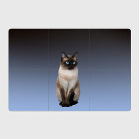 Магнитный плакат 3Х2 с принтом сиамская милая кошечка в Кировске, Полимерный материал с магнитным слоем | 6 деталей размером 9*9 см | cat | kitten | голубые глаза | градиент | кот | котейка | котик | кошечка | кошка | милая | мяу | сиамская | сиамский