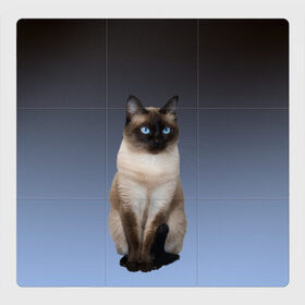 Магнитный плакат 3Х3 с принтом сиамская милая кошечка в Кировске, Полимерный материал с магнитным слоем | 9 деталей размером 9*9 см | cat | kitten | голубые глаза | градиент | кот | котейка | котик | кошечка | кошка | милая | мяу | сиамская | сиамский