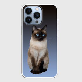 Чехол для iPhone 13 Pro с принтом сиамская милая кошечка в Кировске,  |  | cat | kitten | голубые глаза | градиент | кот | котейка | котик | кошечка | кошка | милая | мяу | сиамская | сиамский