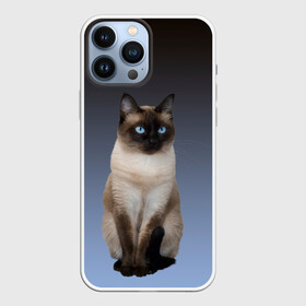 Чехол для iPhone 13 Pro Max с принтом сиамская милая кошечка в Кировске,  |  | cat | kitten | голубые глаза | градиент | кот | котейка | котик | кошечка | кошка | милая | мяу | сиамская | сиамский