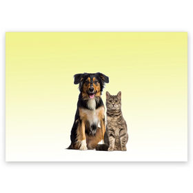 Поздравительная открытка с принтом кошка и собака друзья в Кировске, 100% бумага | плотность бумаги 280 г/м2, матовая, на обратной стороне линовка и место для марки
 | cat | kitten | вместе | домашние любимцы | друзья | животные | кот | котейка | котик | кошка | пес | собака | соседи
