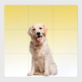 Магнитный плакат 3Х3 с принтом Лабрадор ретривер пес в Кировске, Полимерный материал с магнитным слоем | 9 деталей размером 9*9 см | домашние любимцы | друг | животные | золотистый ретривер | лабрадор | пес | питомец | породистый | собака