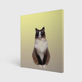 Холст квадратный с принтом персидская пушистая кошка в Кировске, 100% ПВХ |  | Тематика изображения на принте: ветеринар | градиент | домашний питомец | котейка | котик | коты | котэ | кошатник | кошатница | кошачьи | кошки | любитель животных | мяу | нэко | персидская | сиамская | смесь | шаблон
