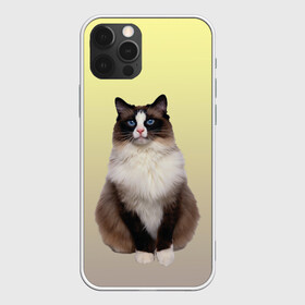 Чехол для iPhone 12 Pro Max с принтом персидская пушистая кошка в Кировске, Силикон |  | ветеринар | градиент | домашний питомец | котейка | котик | коты | котэ | кошатник | кошатница | кошачьи | кошки | любитель животных | мяу | нэко | персидская | сиамская | смесь | шаблон