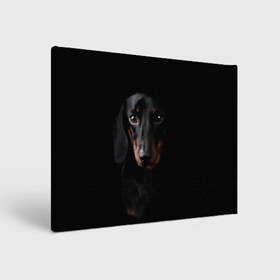 Холст прямоугольный с принтом ТАКСА в Кировске, 100% ПВХ |  | Тематика изображения на принте: animal | black | dog | photo | глаза | домашние | животные | звери | пес | собакен | собаки | такса | черный