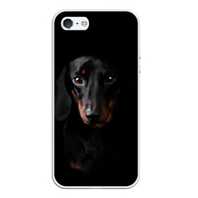 Чехол для iPhone 5/5S матовый с принтом ТАКСА в Кировске, Силикон | Область печати: задняя сторона чехла, без боковых панелей | animal | black | dog | photo | глаза | домашние | животные | звери | пес | собакен | собаки | такса | черный