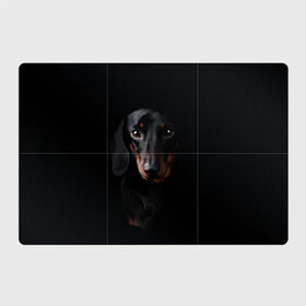 Магнитный плакат 3Х2 с принтом ТАКСА в Кировске, Полимерный материал с магнитным слоем | 6 деталей размером 9*9 см | Тематика изображения на принте: animal | black | dog | photo | глаза | домашние | животные | звери | пес | собакен | собаки | такса | черный