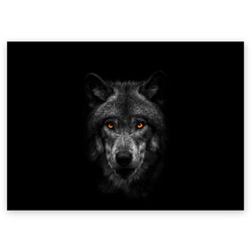 Поздравительная открытка с принтом Evil Wolf в Кировске, 100% бумага | плотность бумаги 280 г/м2, матовая, на обратной стороне линовка и место для марки
 | animal | beast | dark | darkness | evil | moon | nigth | tegunvteg | werwolf | wild | wolf | вервольф | вой | волк | волки | волчара | дикий | животное | зверь | клык | клыки | луна | ночь | оборотень | полнолуние