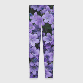 Леггинсы 3D с принтом Фиолетовый цвет весны в Кировске, 80% полиэстер, 20% эластан | Эластичный пояс, зауженные к низу, низкая посадка | art | casual | весенний | весна | градиент | зелень | растения | структура | текстура | цветы