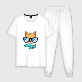 Мужская пижама хлопок с принтом Очковая кошка в Кировске, 100% хлопок | брюки и футболка прямого кроя, без карманов, на брюках мягкая резинка на поясе и по низу штанин
 | домашняя кошка | кошка | мелус кот | милый кот | мышка | очки | очковая кошка | французская кошка