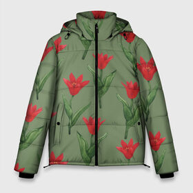 Мужская зимняя куртка 3D с принтом Красные тюльпаны на зеленом в Кировске, верх — 100% полиэстер; подкладка — 100% полиэстер; утеплитель — 100% полиэстер | длина ниже бедра, свободный силуэт Оверсайз. Есть воротник-стойка, отстегивающийся капюшон и ветрозащитная планка. 

Боковые карманы с листочкой на кнопках и внутренний карман на молнии. | 8 марта | flowers | march 8 | spring | ботаническая иллюстрация | весна | день рождения | зеленый | красный | лето | любовь | праздник | принт | природа | растения | тюльпаны | цветы